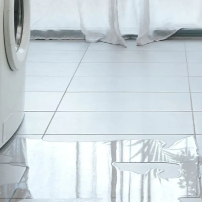 Appliance Leak Cleanup in Osceola County, MI