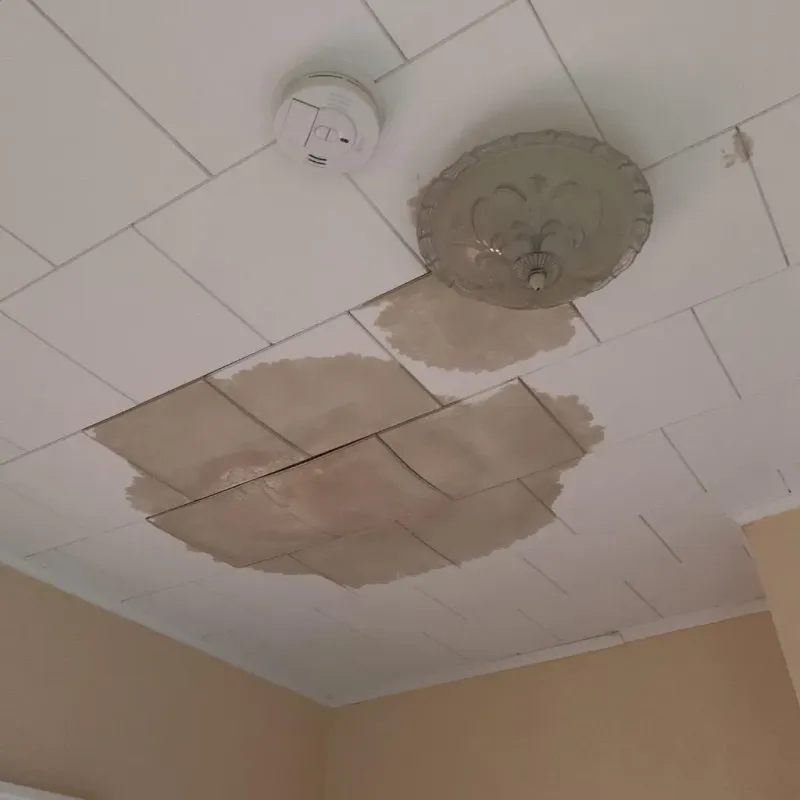 Ceiling Water Damage Repair in Osceola County, MI