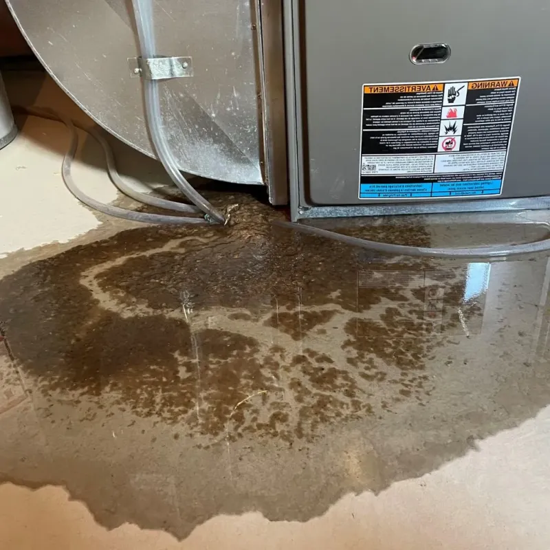 Pipe Burst and Leak Restoration in Osceola County, MI
