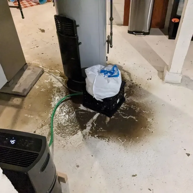 Sewage Backup Cleanup Service in Osceola County, MI